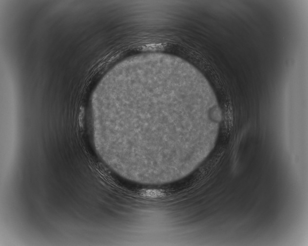 X0000103320649200810060955