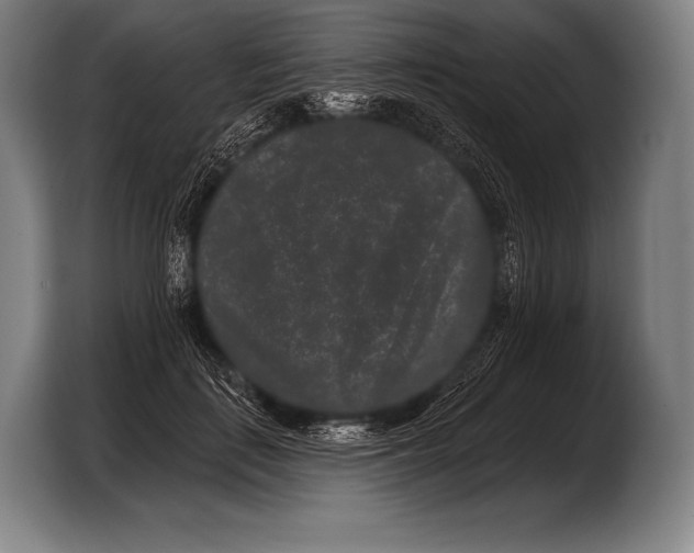 X0000103320651200810060955