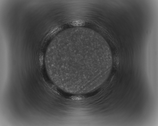 X0000103320652200810060955
