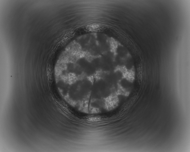 X0000103320653200810060955