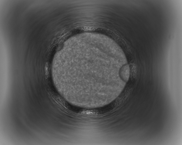 X0000103320655200810060955