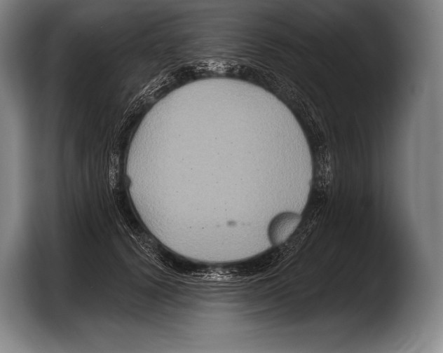 X0000103320656200810060955