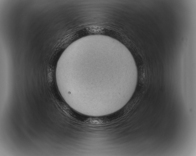 X0000103320658200810060955