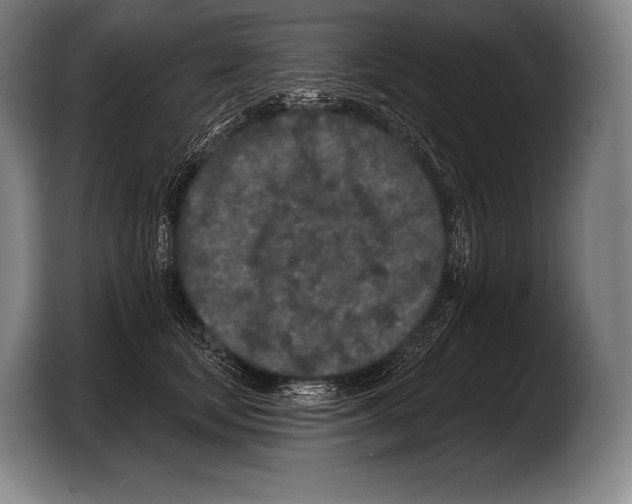 X0000103320659200810060956