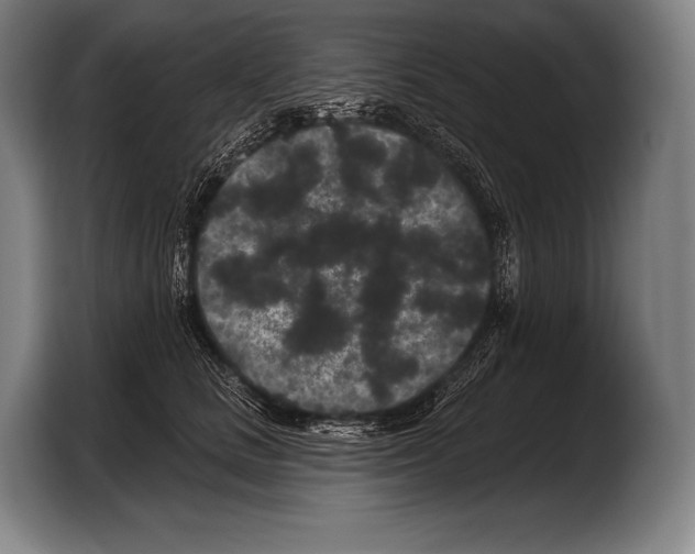 X0000103320661200810060956