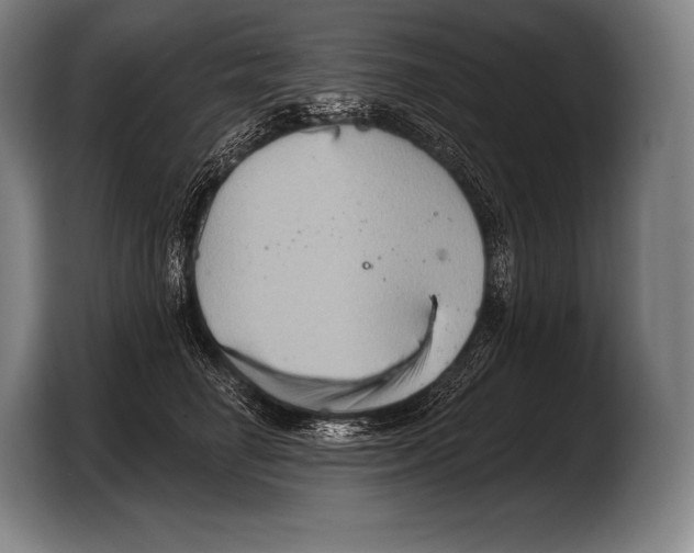 X0000103320662200810060956