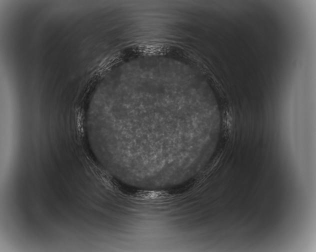 X0000103320663200810060956