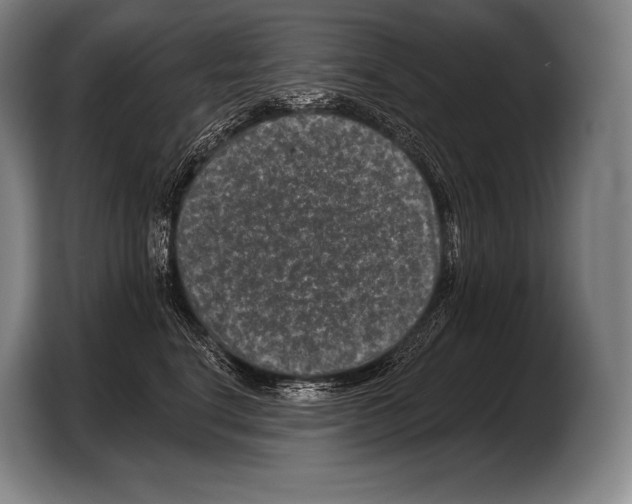 X0000103320664200810060956