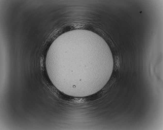 X0000103320667200810060956
