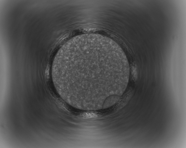 X0000103320668200810060956