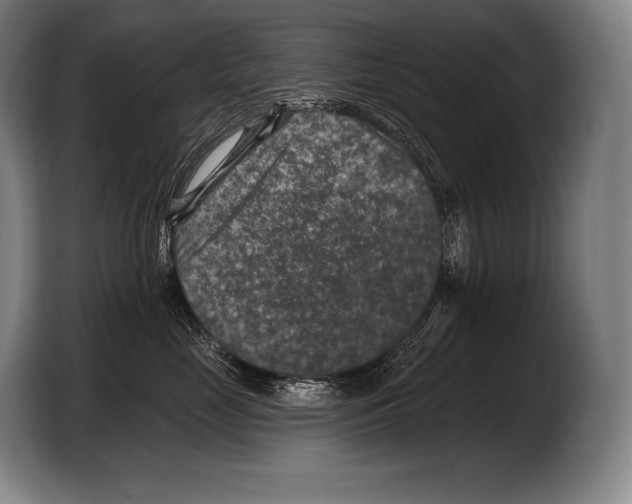 X0000103320669200810060956