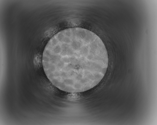 X0000103320672200810060956