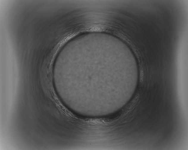 X0000103320673200810060955