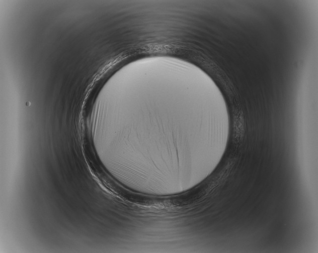 X0000103320674200810060955