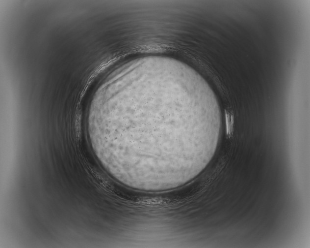 X0000103320675200810060955