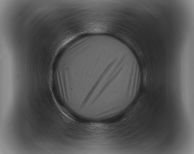X0000103320677200810060955