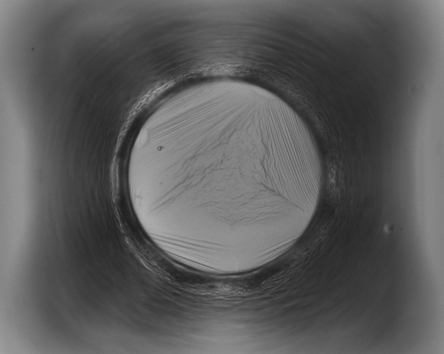 X0000103320678200810060955
