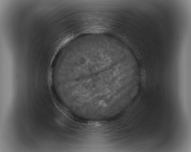 X0000103320679200810060955