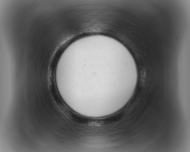 X0000103320680200810060955