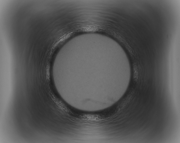 X0000103320681200810060955
