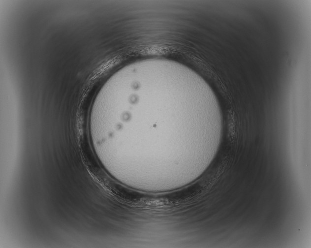 X0000103320683200810060955