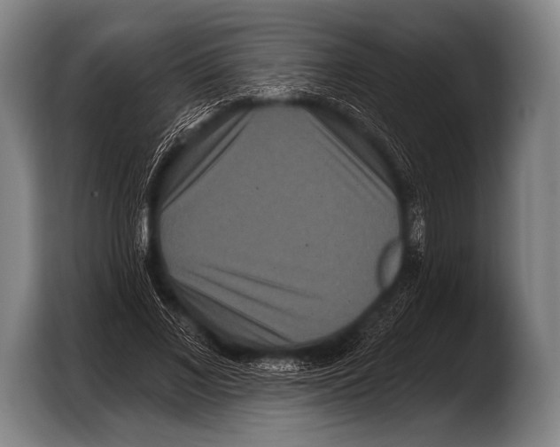 X0000103320685200810060955
