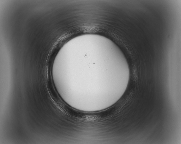 X0000103320686200810060955
