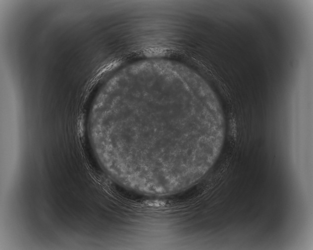 X0000103320687200810060955