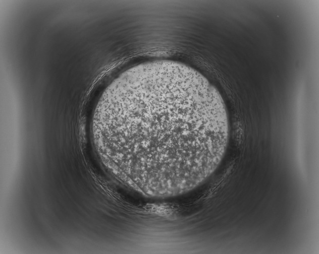 X0000103320688200810060955
