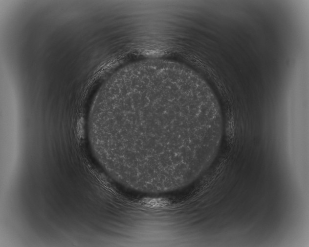 X0000103320689200810060955
