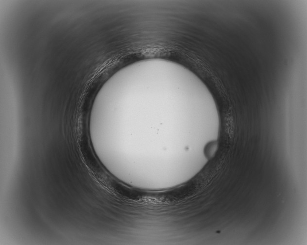 X0000103320690200810060955