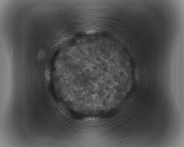 X0000103320691200810060955
