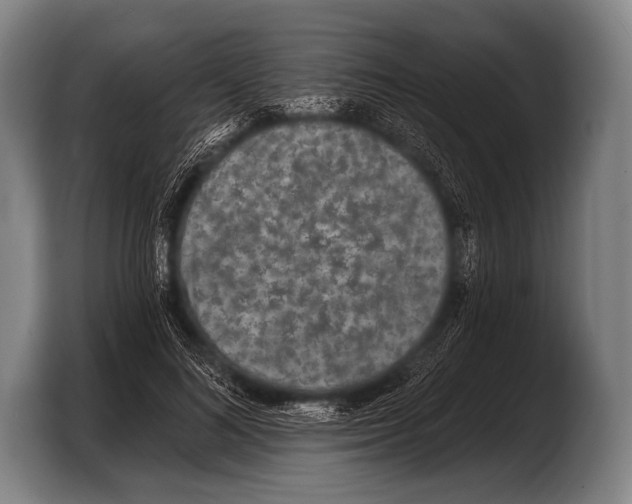 X0000103320692200810060955
