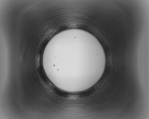 X0000103320694200810060955