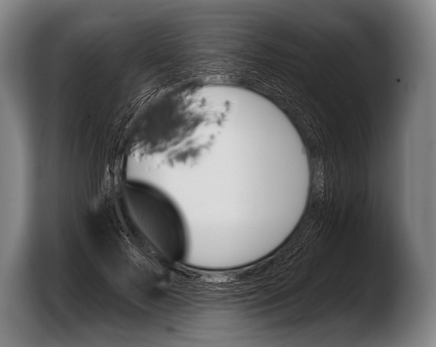 X0000103320695200810060955