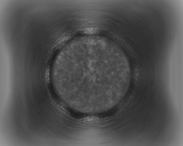 X0000103320696200810060955