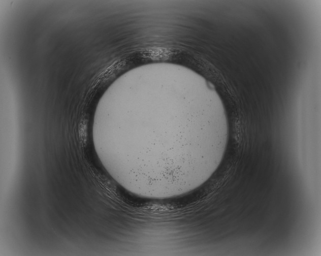 X0000103320697200810060955