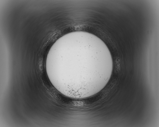 X0000103320698200810060955