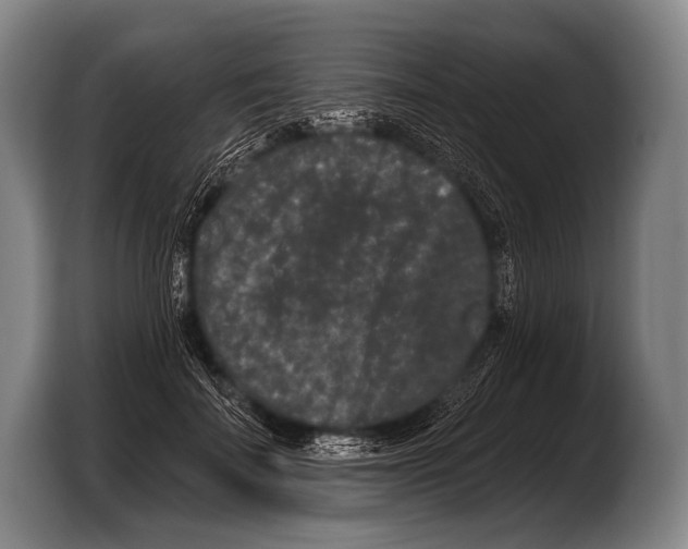 X0000103320699200810060955