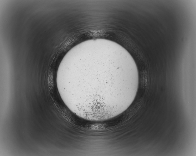 X0000103320700200810060955