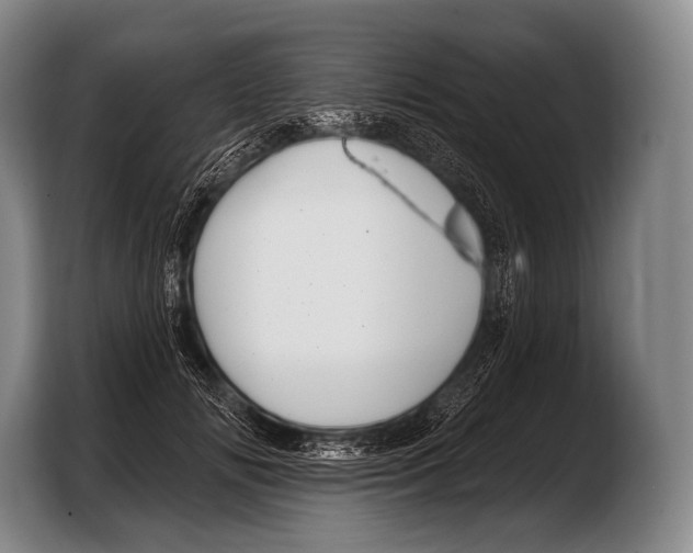 X0000103320702200810060955