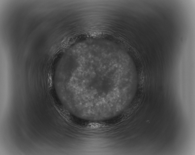 X0000103320703200810060955