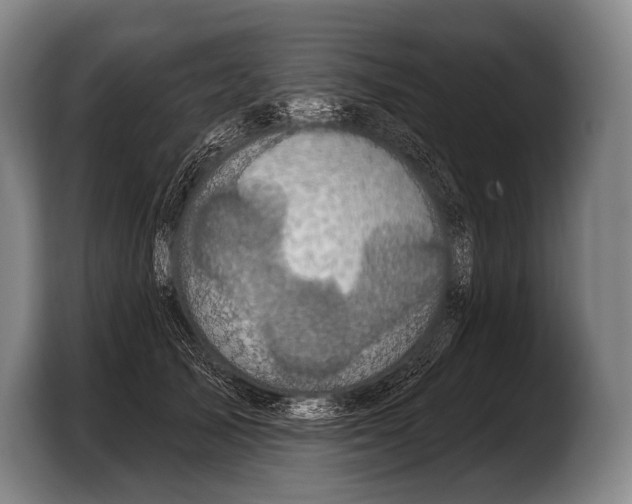 X0000103320705200810060955