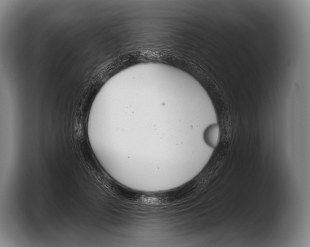 X0000103320706200810060955