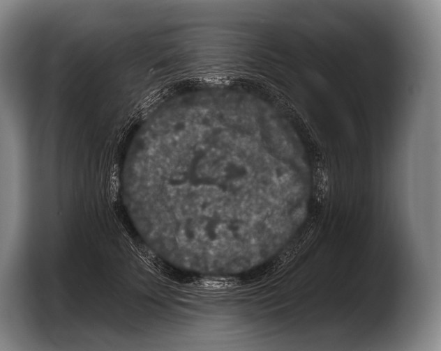 X0000103320707200810060955