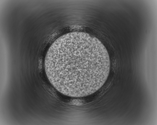 X0000103320708200810060955