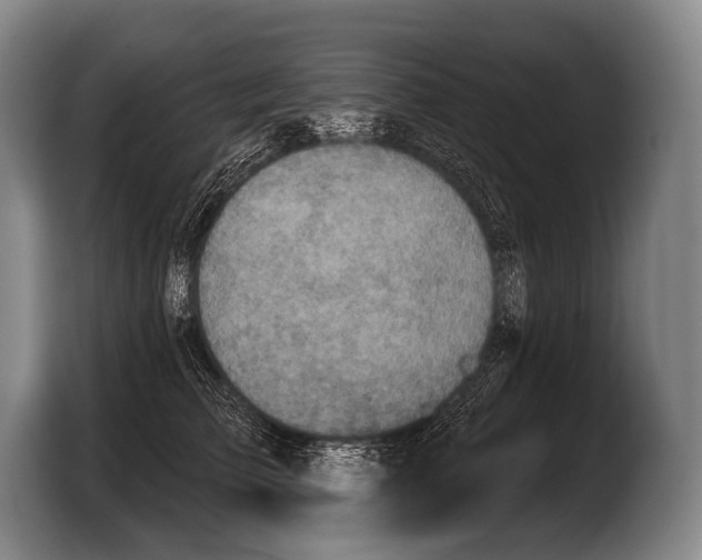 X0000103320709200810060955