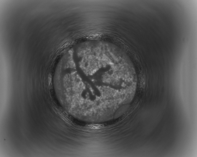 X0000103320711200810060955