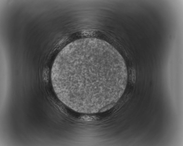 X0000103320712200810060955