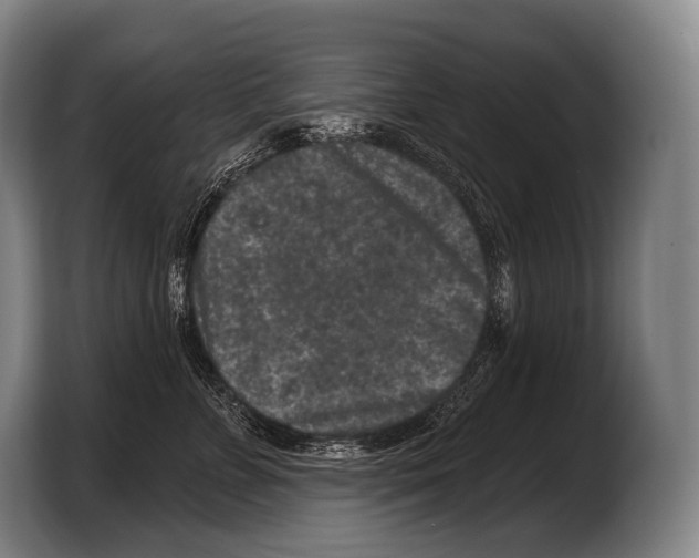 X0000103320715200810060955
